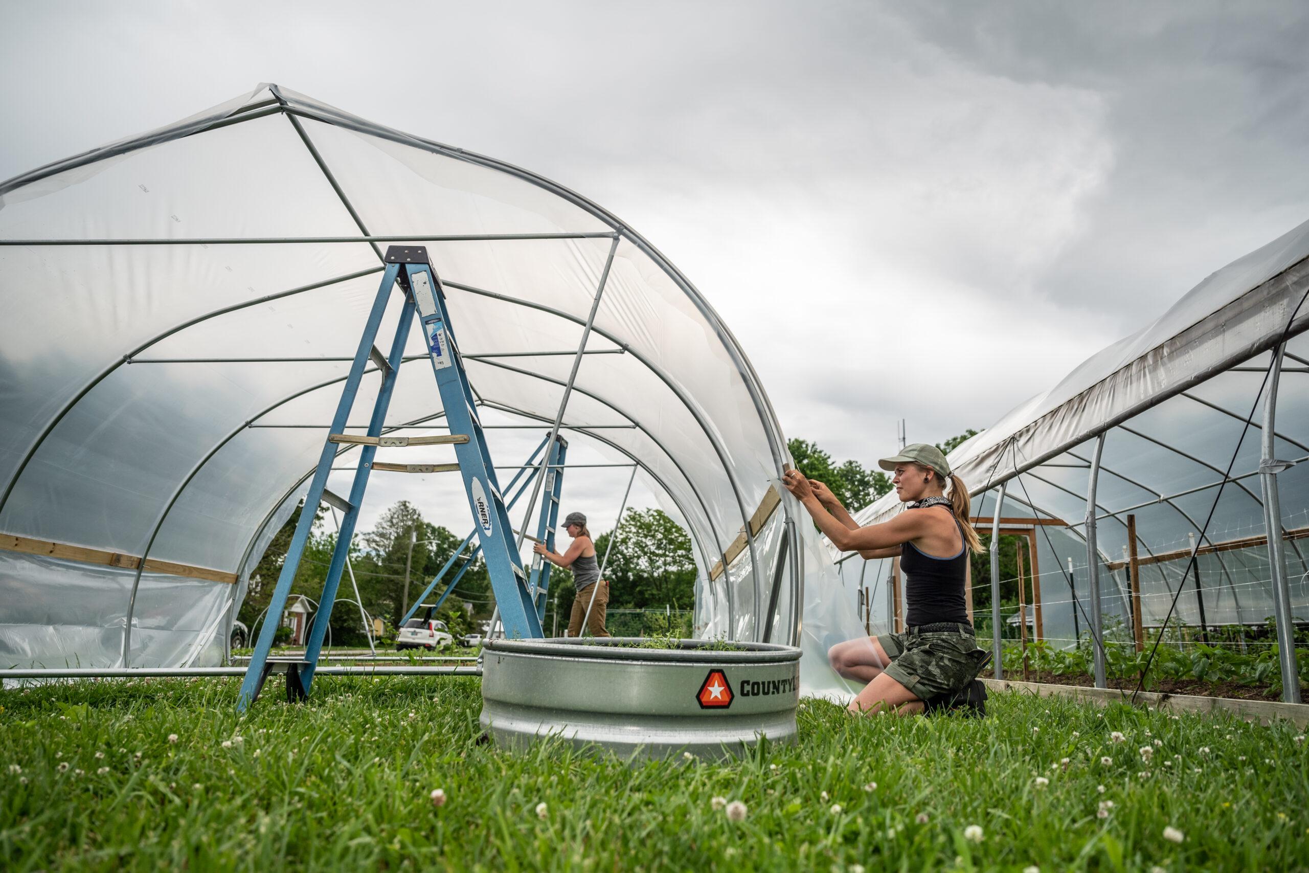 Berea College sustainability and environmental studies
